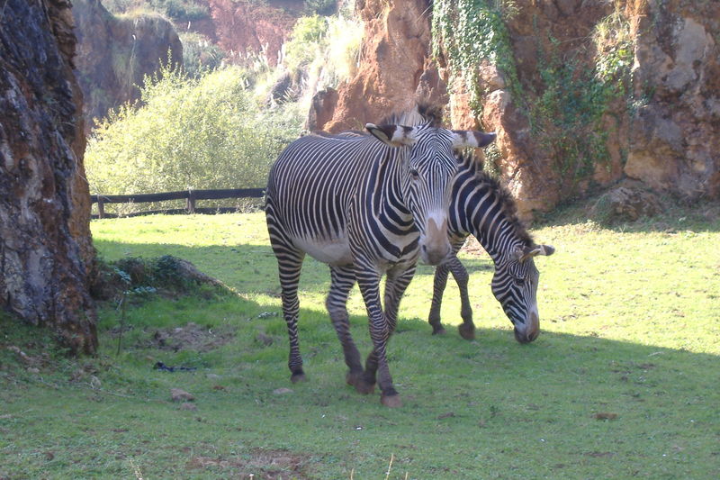 dscf3025.jpg