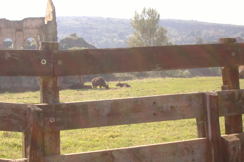 dscf3027.jpg