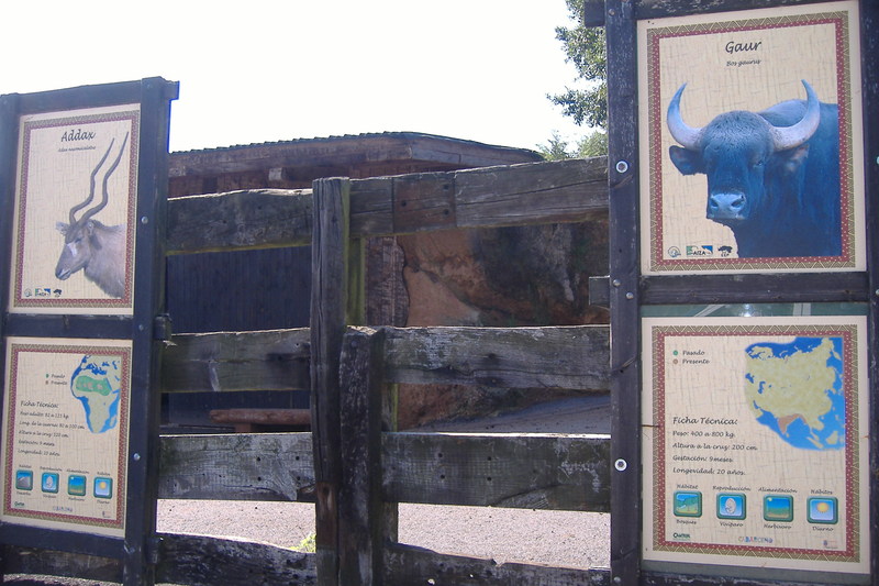 dscf3028.jpg