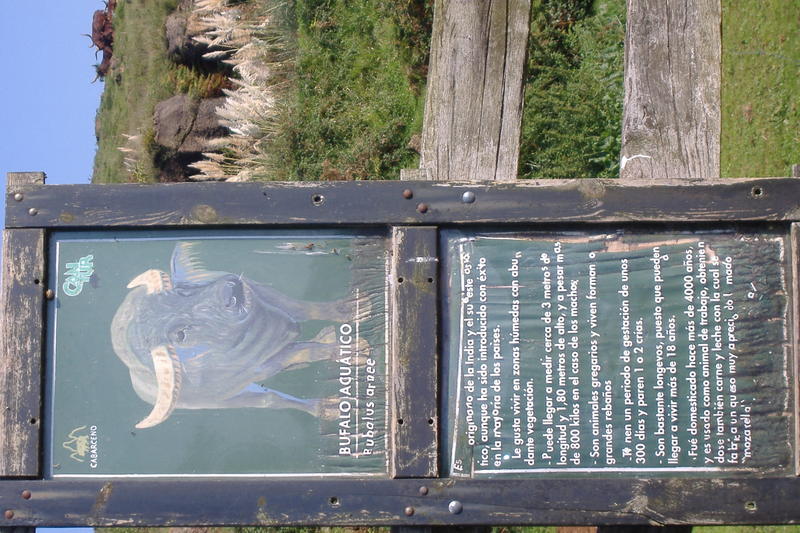 dscf3029.jpg