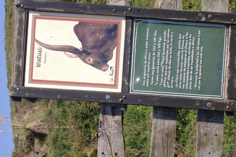 dscf3030.jpg