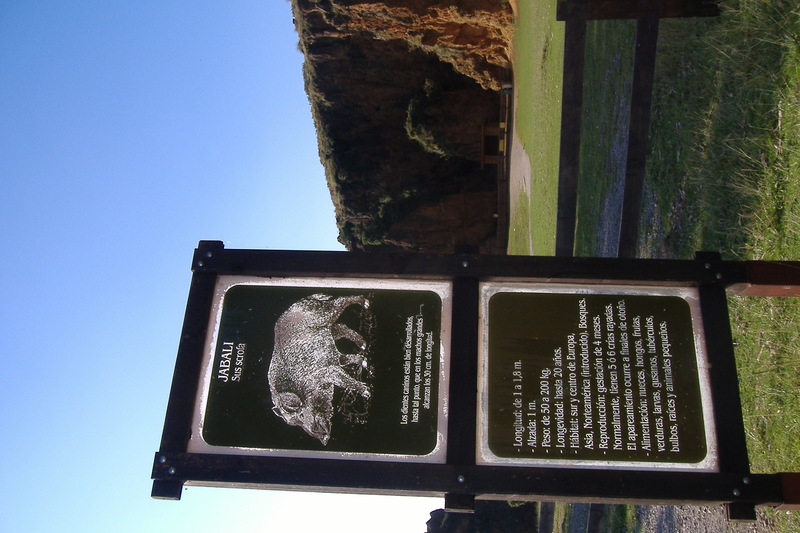 dscf3040.jpg