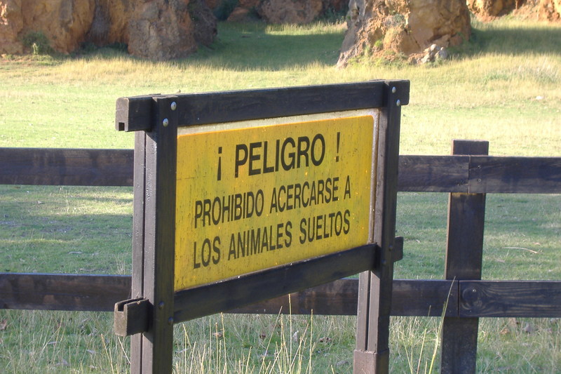 dscf3041.jpg
