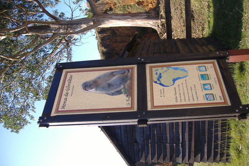 dscf3042.jpg