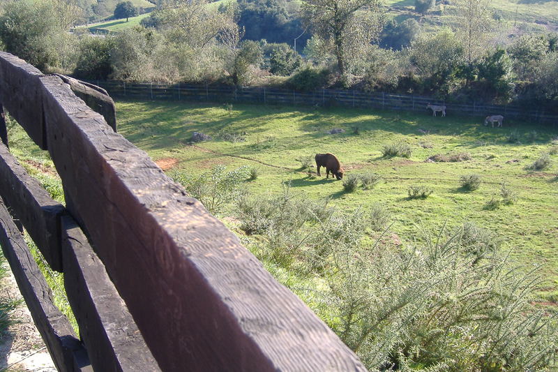 dscf3046.jpg