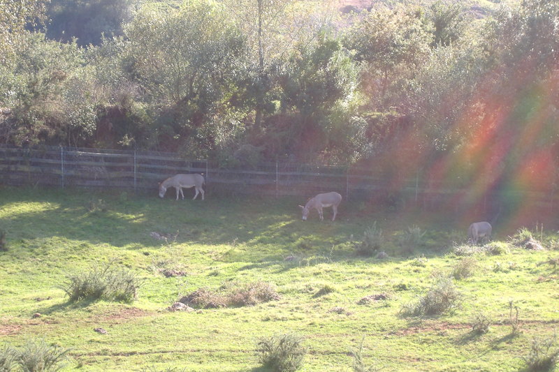 dscf3047.jpg