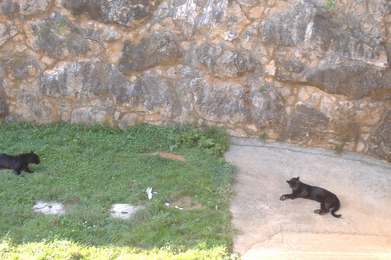 dscf3052.jpg