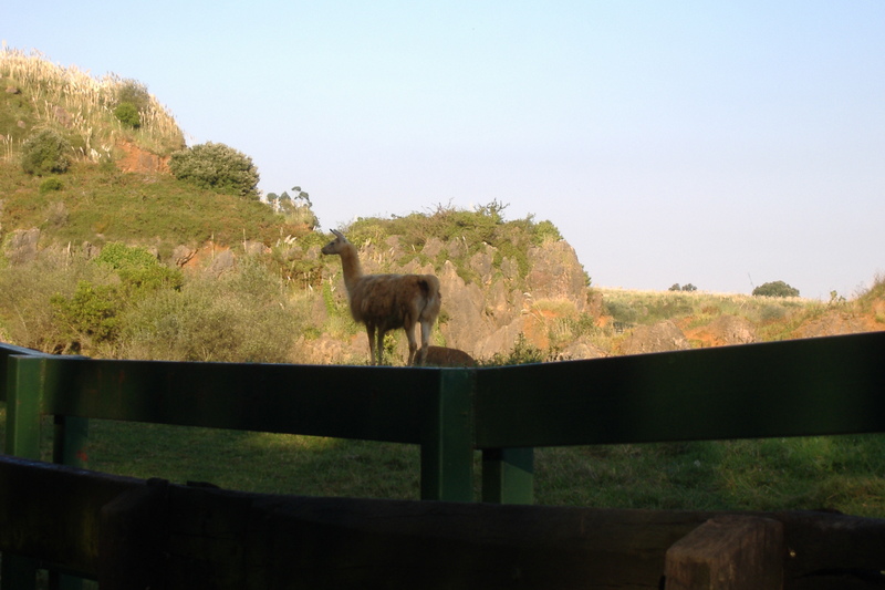 dscf3053.jpg