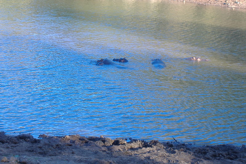 dscf3054.jpg