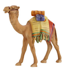 camel.jpg