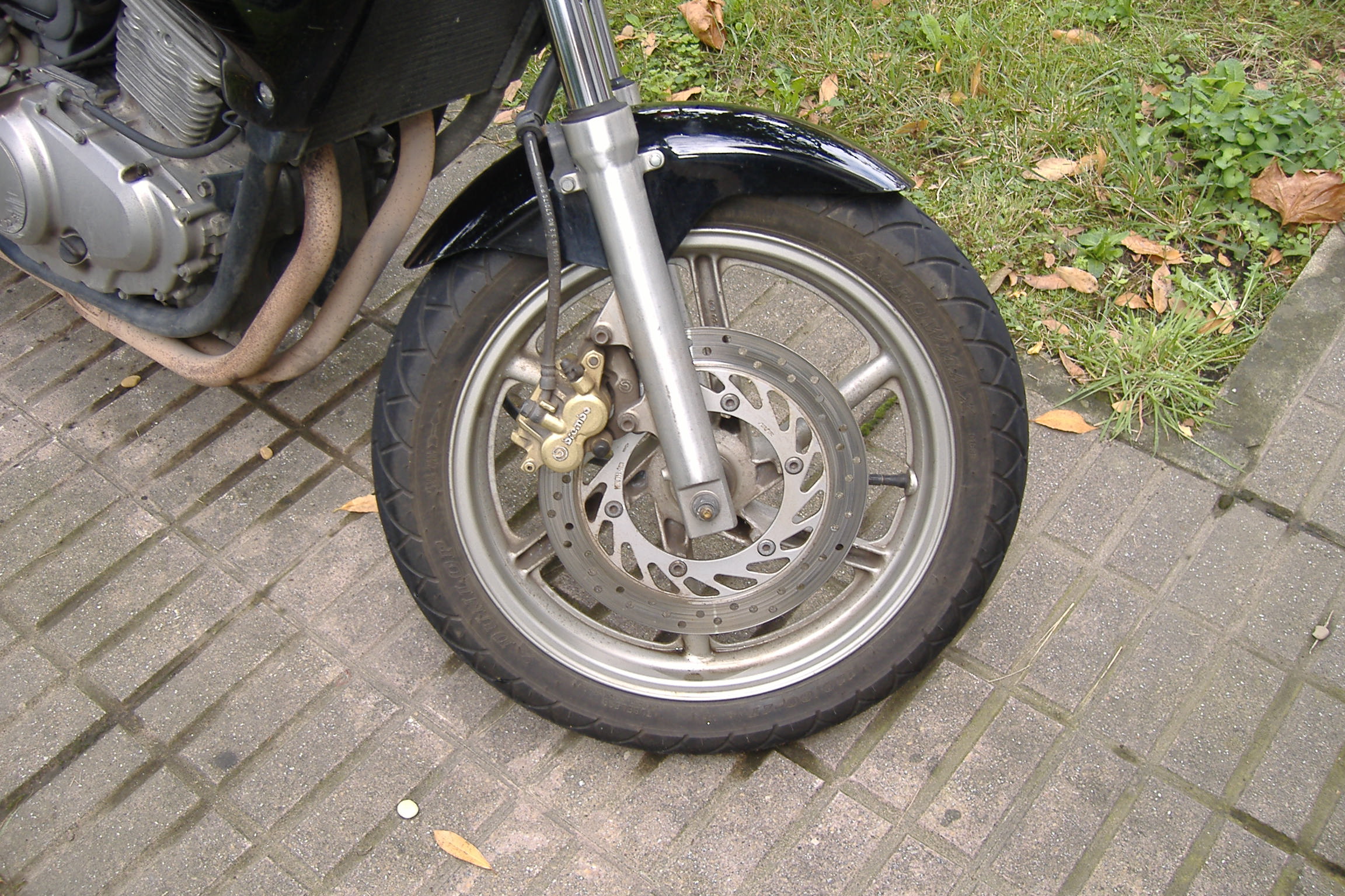 dscf2896.jpg